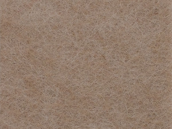 Sand Dune