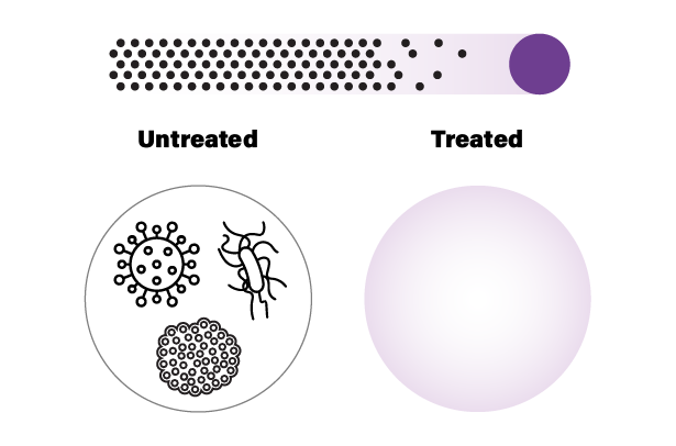 Impact on Virus
