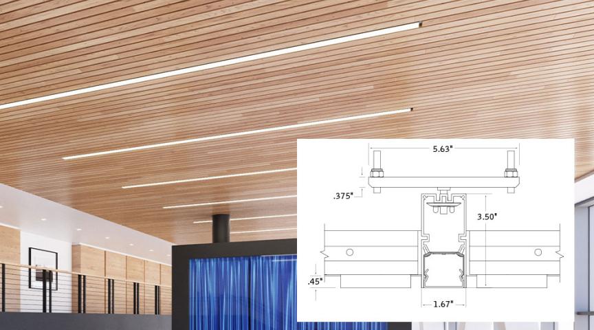 Specialty Ceilings Focal Point Lights