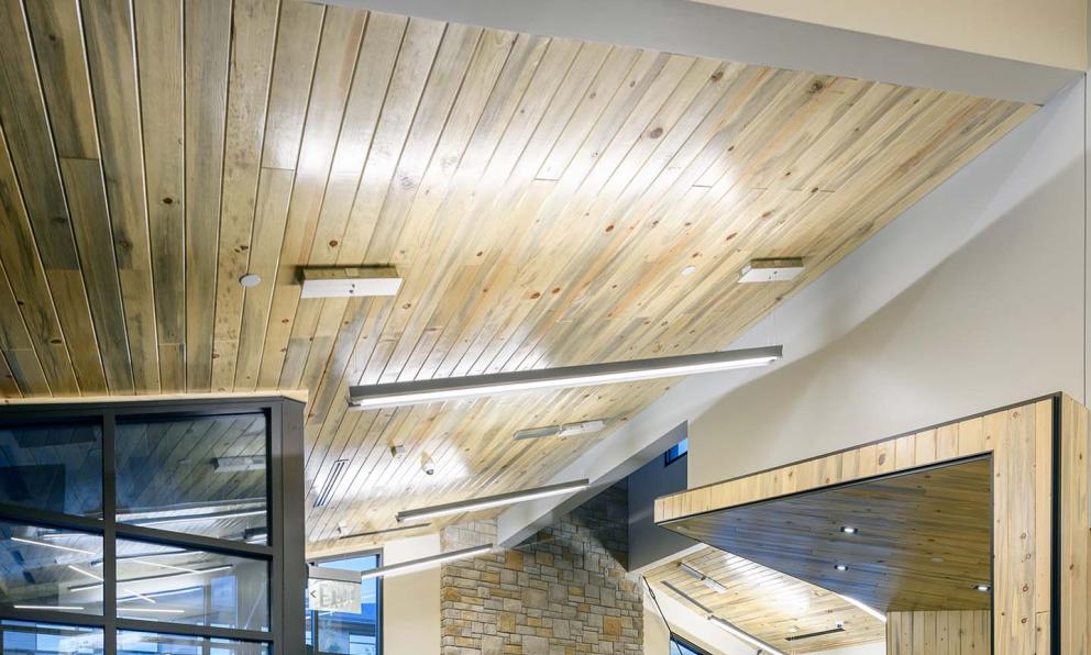 Obscura Suspended Luminaire | Focal Point Lights