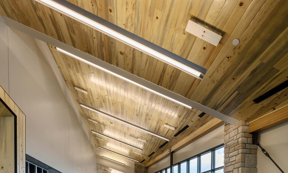 Obscura Suspended Luminaire | Focal Point Lights