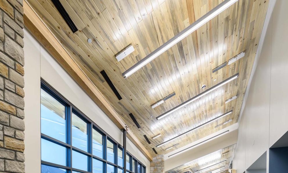 Obscura Suspended Luminaire | Focal Point Lights
