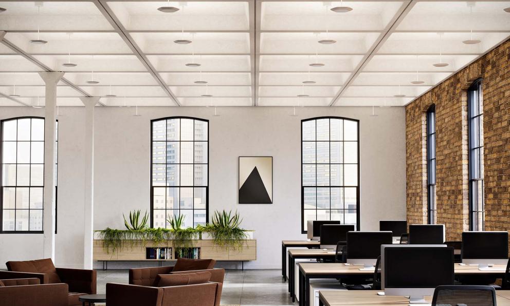 Polina Uplight Open Office