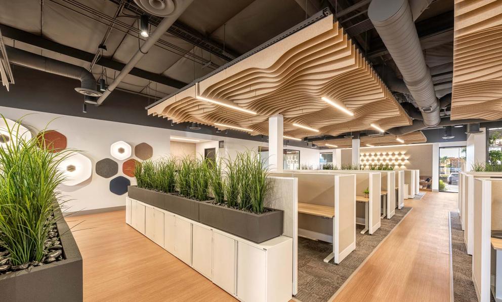 Open Office Mora