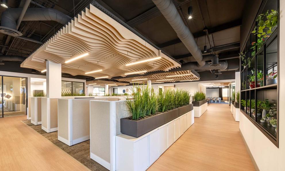 Open Office Mora
