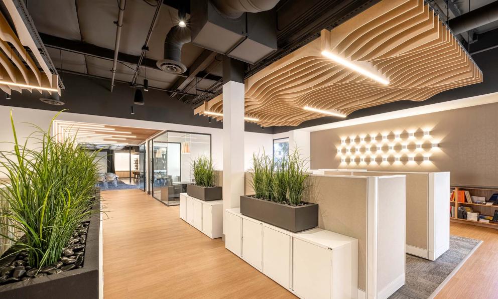Open Office Mora
