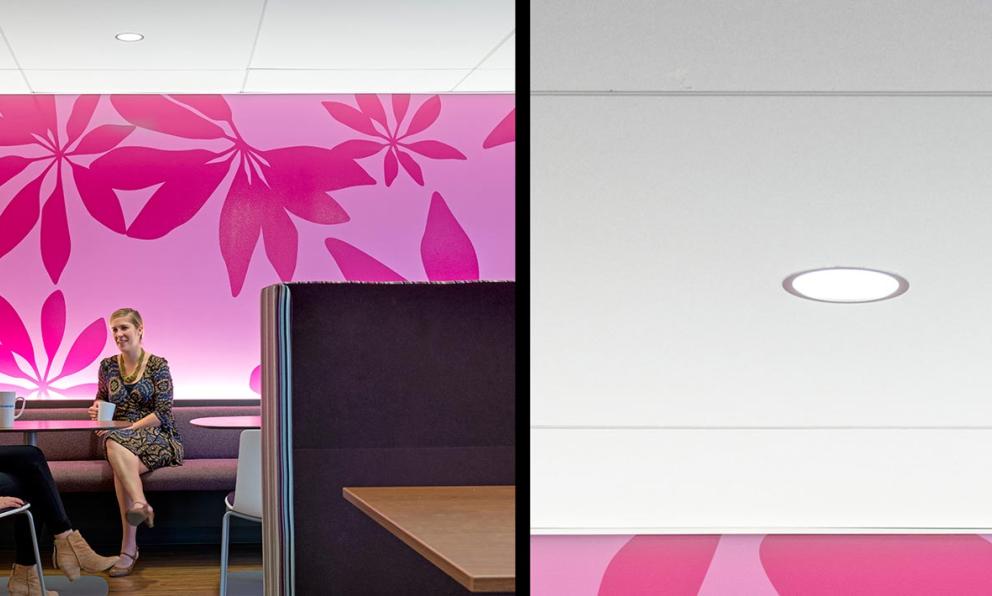 Salesforce Cafeteria ID+ 4.5" Downlight