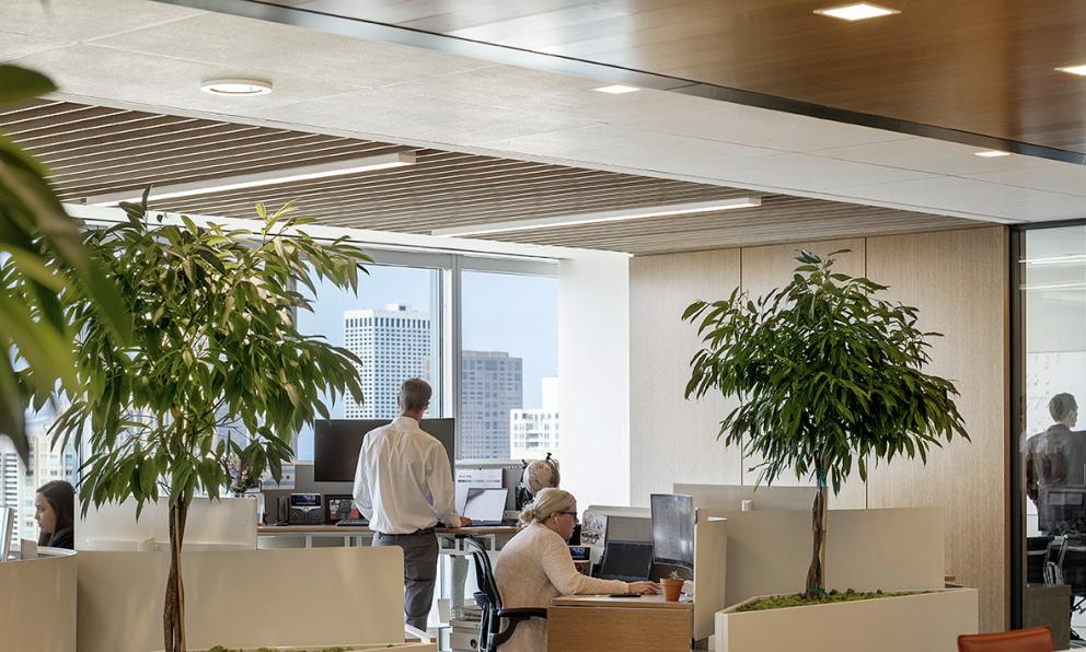 Boston Consulting Group