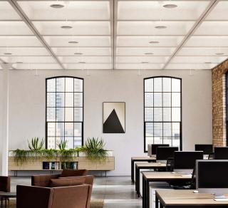 Polina Uplight Open Office