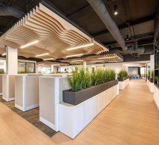 Open Office Mora