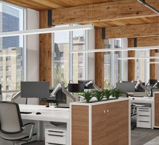 Obscura Open Office