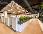 Open Office Mora