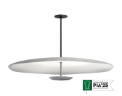 Polina Acoustic Pendant (42")