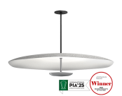 Polina Acoustic Pendant (42")