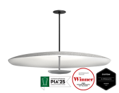 Polina acoustic pendant 42
