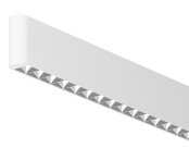 Tazo_EndDetail_LC__CS_WH