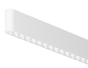 Tazo_EndDetail_LC__WH_WH