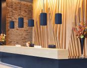 Zyl acoustic pendant lobby