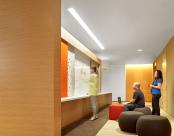Nektar Avenue 6 4.5" Downlight Meeting Space