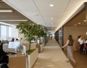 Boston Consulting Group