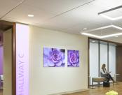 Rush Oak Brook Outpatient Center Waiting Area Nera Pendant