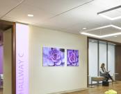 Rush Oak Brook Outpatient Center Waiting Area Nera Pendant