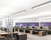 Obscura Open Office