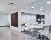 Lexus of Orlando Lounge Skydome Seem 4.5" Downlight