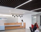 Coupang Reception Focus Wall Wash