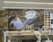 RSM open office