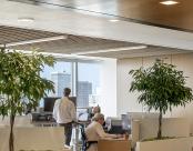 Boston Consulting Group