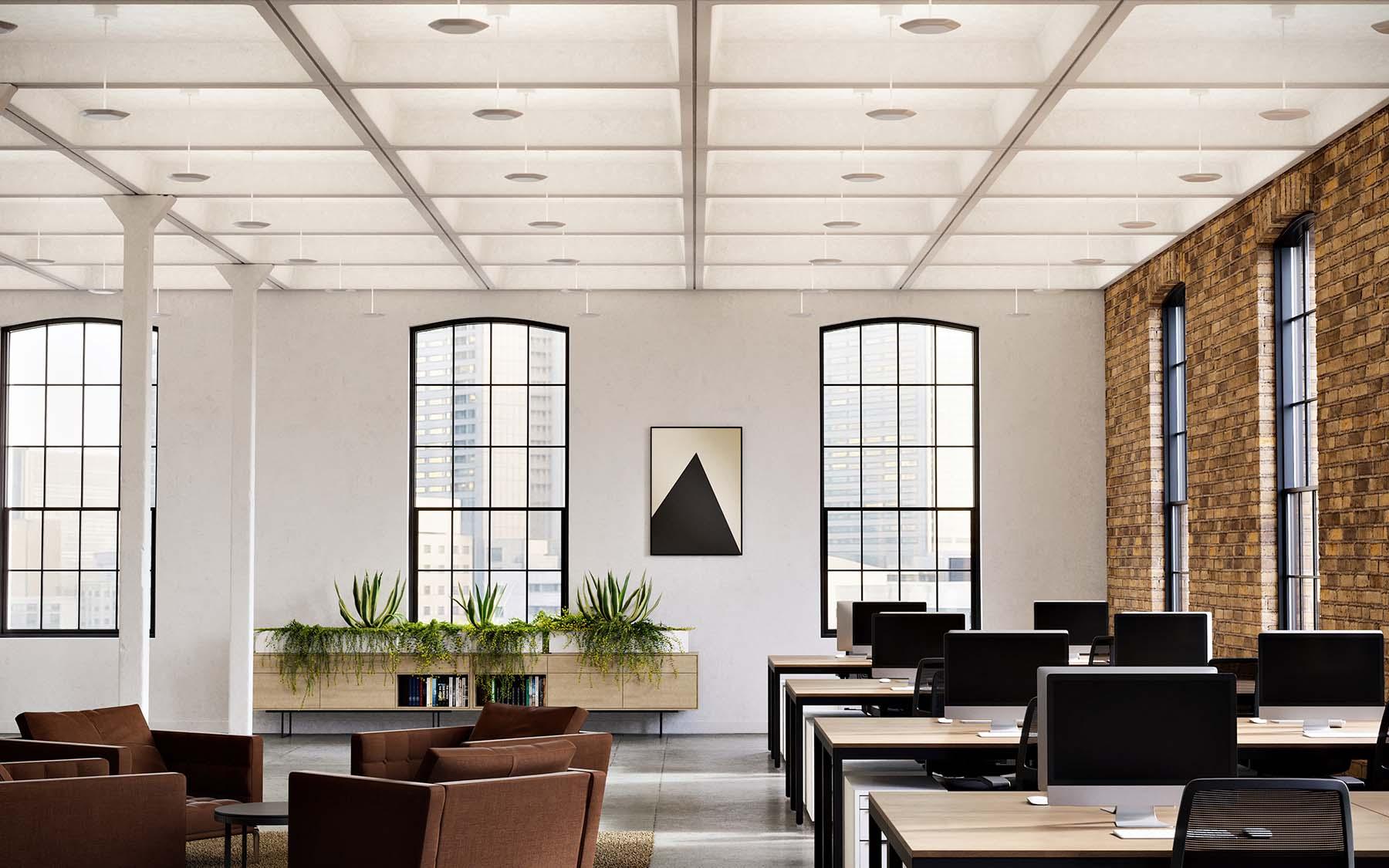 Polina Uplight Open Office