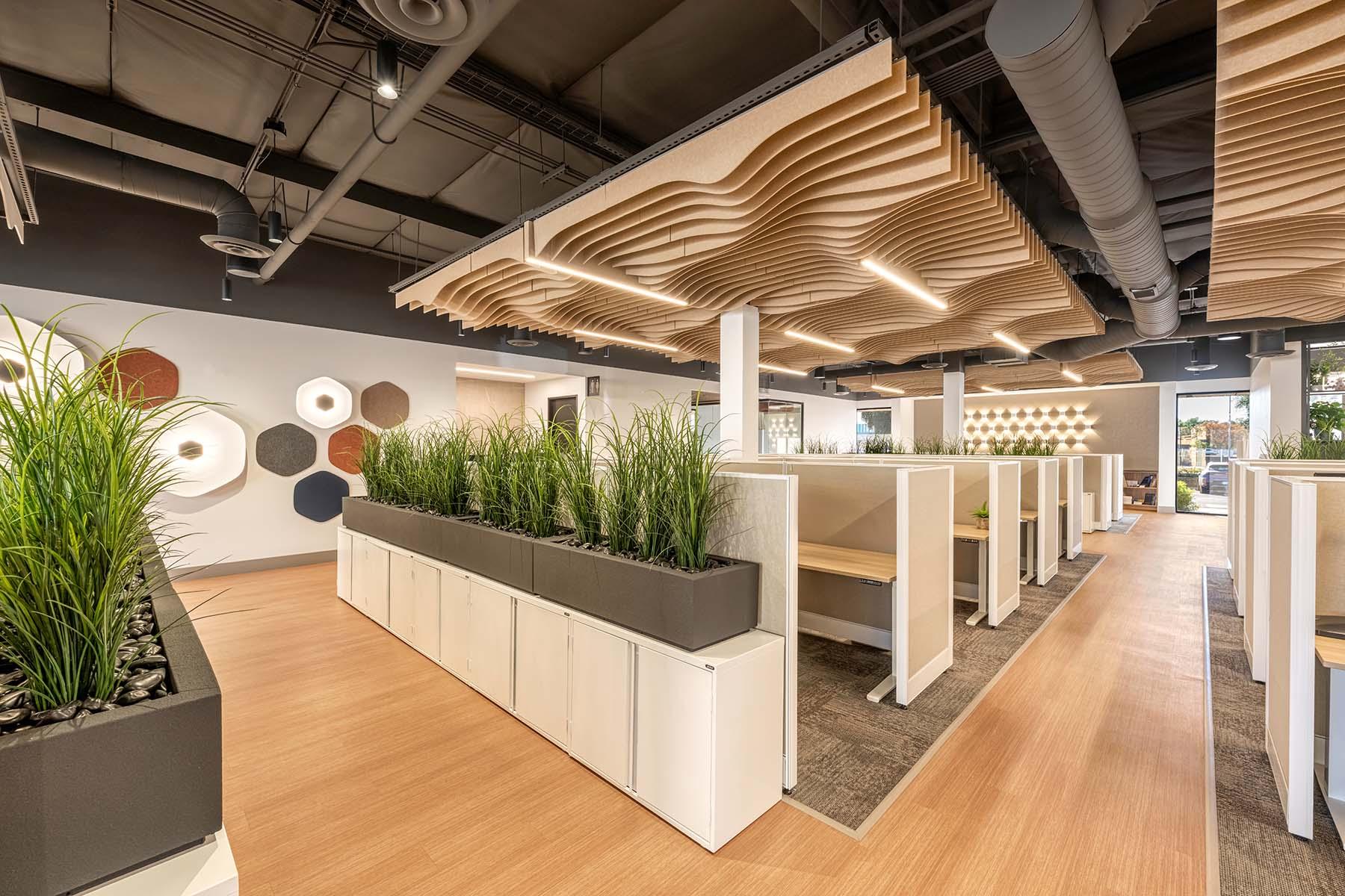Open Office Mora