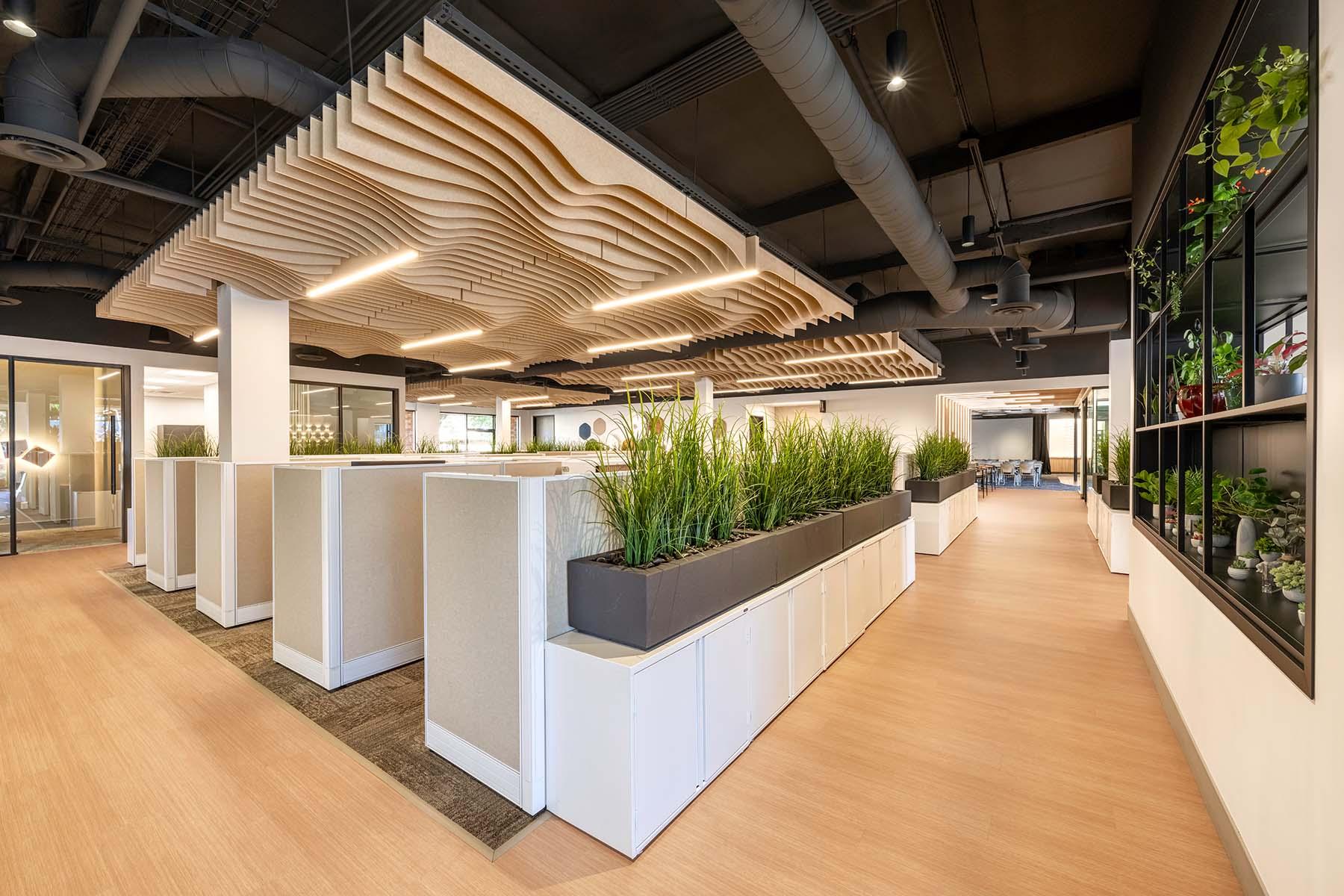 Open Office Mora