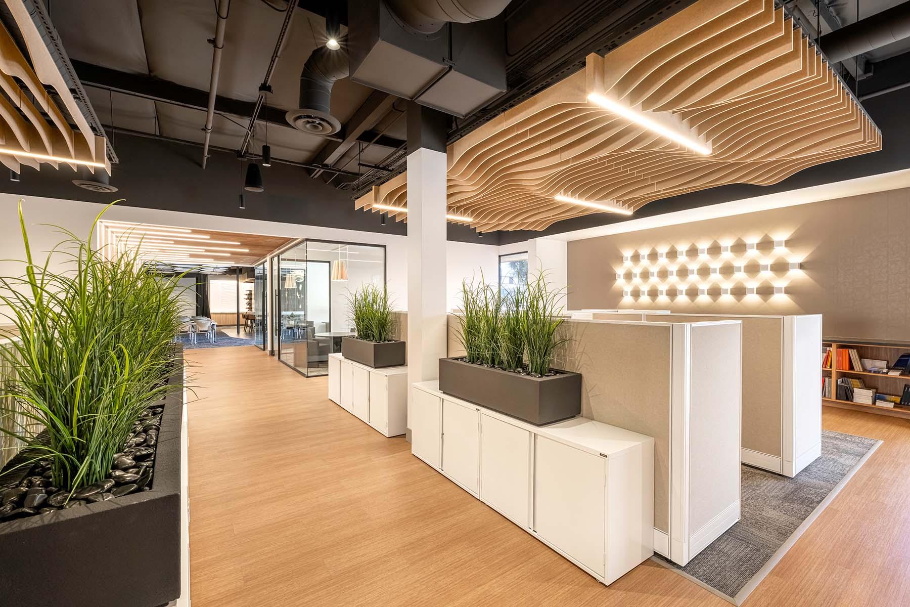 Open Office Mora