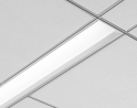 Avenue 6 LED