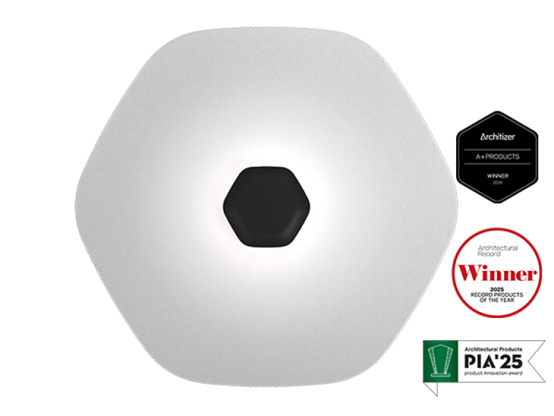 Polina Acoustic Sconce