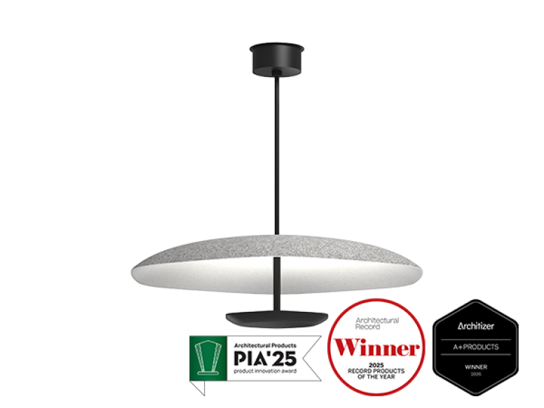 Polina acoustic pendant 27