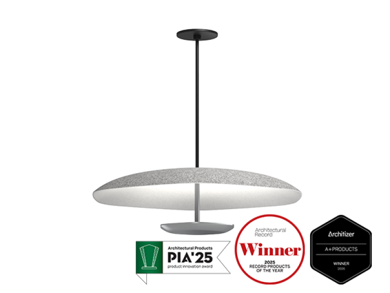 Polina acoustic pendant 27