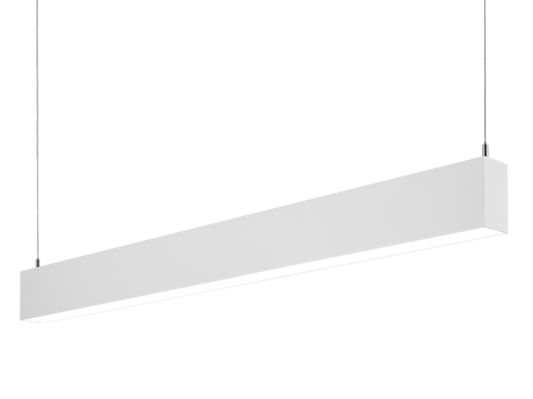 Seem 2 LED Suspended / Surface Mount FSM2LS