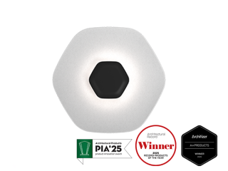 Polina Acoustic Sconce 27