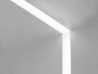 Seem 2 LED Wall-to-Ceiling FSM2L-CXF