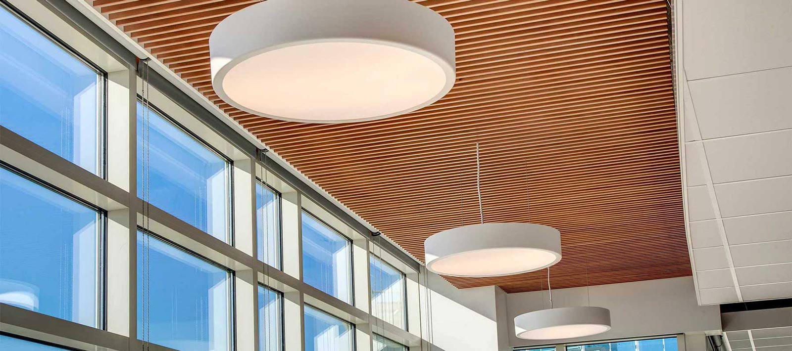 Family Skydome Gallery Focal Point Lights